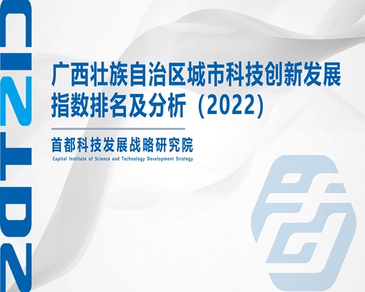 骚穴被大鸡巴操视频【成果发布】广西壮族自治区城市科技创新发展指数排名及分析（2022）